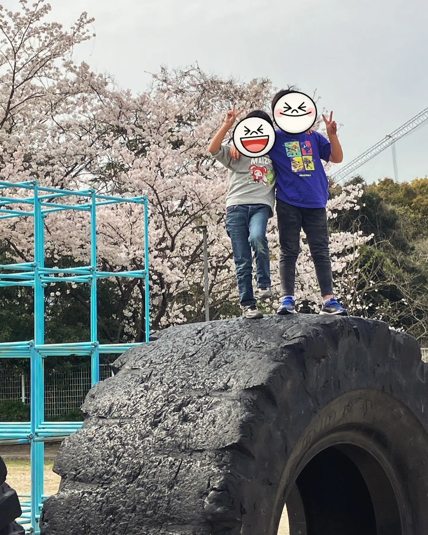 いよいよ新学期！穂波パークシティ桜ヶ丘公園で楽しむ！