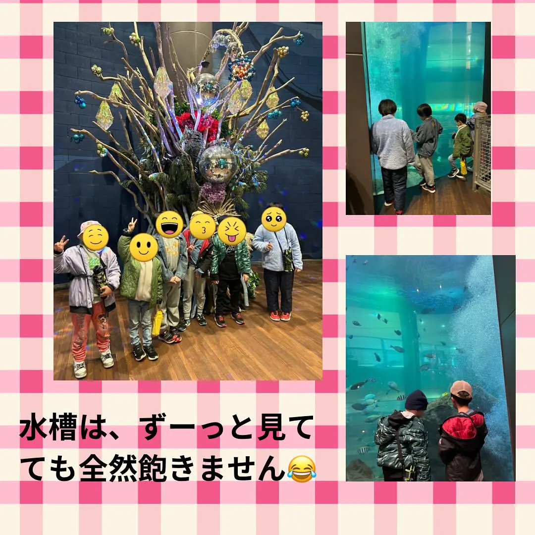 福岡の博多ポートタワーとベイサイドアクアリウムで楽しむ！2